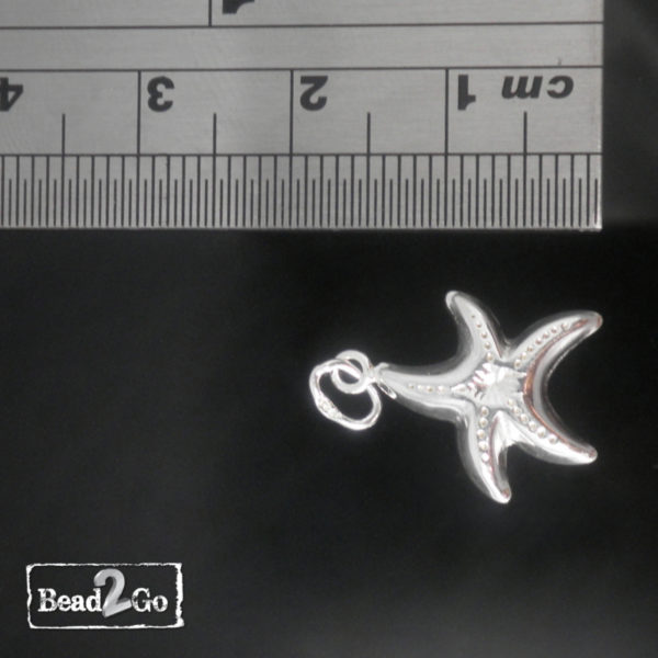 bead2go-sterling-silver-star-fish